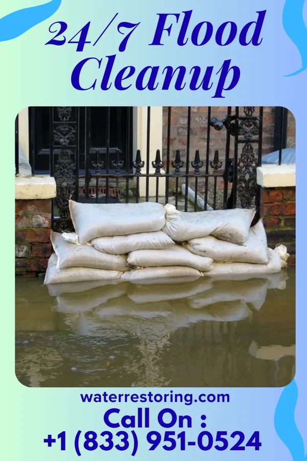24/7 Flood Cleanup in West City, IL