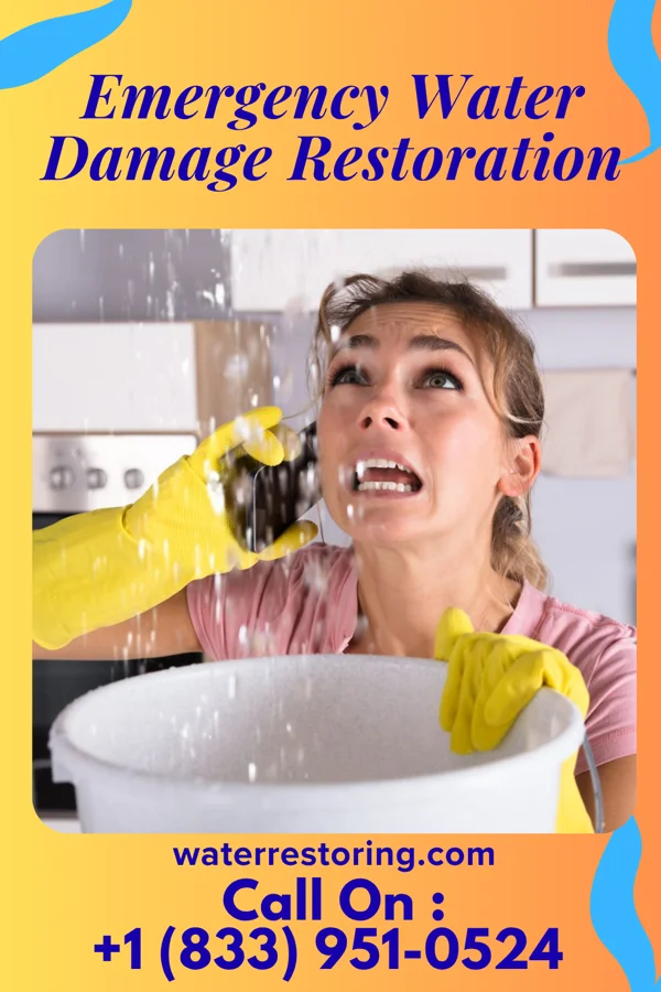 Emergency Water Damage Restoration in West City, IL